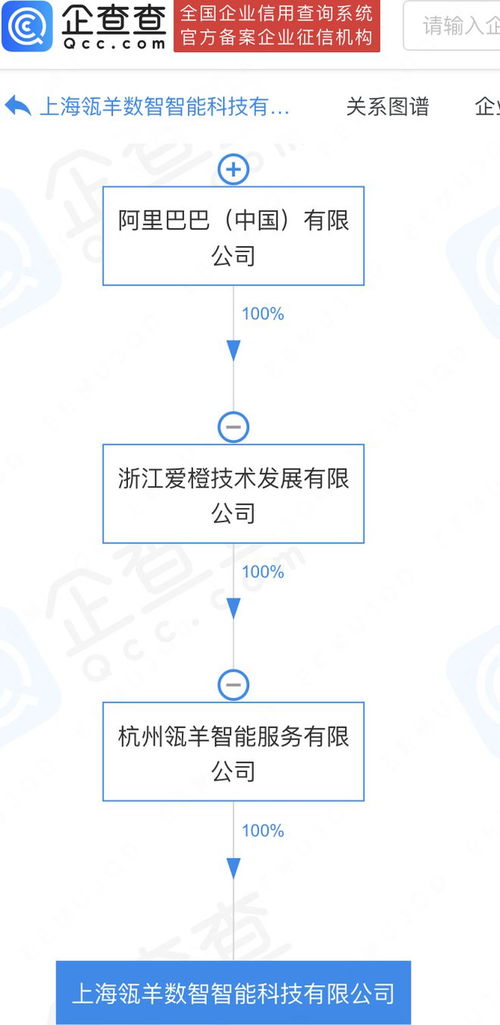 阿里巴巴加碼數(shù)智科技 瓴羊數(shù)智科技公司在滬成立，深耕數(shù)據(jù)處理與存儲(chǔ)服務(wù)新藍(lán)海